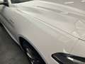 Alfa Romeo Giulia 2.2 160CV Super BVA Weiß - thumbnail 17