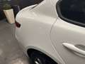 Alfa Romeo Giulia 2.2 160CV Super BVA Weiß - thumbnail 23