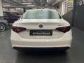 Alfa Romeo Giulia 2.2 160CV Super BVA Weiß - thumbnail 22