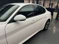 Alfa Romeo Giulia 2.2 160CV Super BVA Weiß - thumbnail 10