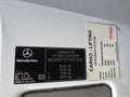 Mercedes-Benz Sprinter 516 CDI/ Koffer/Ladebordwand Wit - thumbnail 22