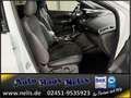 Ford Kuga 1,5 EcoBoost ST-Line R-Cam Bi-Xenon AHK DAB Weiß - thumbnail 13