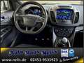 Ford Kuga 1,5 EcoBoost ST-Line R-Cam Bi-Xenon AHK DAB Weiß - thumbnail 26
