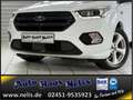 Ford Kuga 1,5 EcoBoost ST-Line R-Cam Bi-Xenon AHK DAB Weiß - thumbnail 18