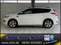 Ford Kuga 1,5 EcoBoost ST-Line R-Cam Bi-Xenon AHK DAB Weiß - thumbnail 21