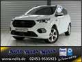 Ford Kuga 1,5 EcoBoost ST-Line R-Cam Bi-Xenon AHK DAB Weiß - thumbnail 1