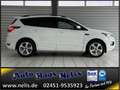 Ford Kuga 1,5 EcoBoost ST-Line R-Cam Bi-Xenon AHK DAB Weiß - thumbnail 4