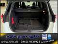 Ford Kuga 1,5 EcoBoost ST-Line R-Cam Bi-Xenon AHK DAB Weiß - thumbnail 15