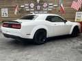 Dodge Challenger WIDEBODY 5,7L V8 Performace Leder Weiß - thumbnail 15