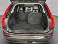 Volvo XC90 XC90 T8 AWD Recharge Plus-Dark 7S Glasd 360° Stand Grau - thumbnail 5