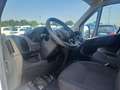 Fiat Ducato FURGONE 35 PL TA  2.2 140 CV EURO 6 Wit - thumbnail 10