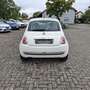 Fiat 500 1.2 Klima & Panoramadach Weiß - thumbnail 20