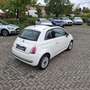 Fiat 500 1.2 Klima & Panoramadach Weiß - thumbnail 8