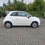 Fiat 500 1.2 Klima & Panoramadach Weiß - thumbnail 10