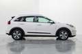 Kia Niro 1.6 HEV Drive Blanco - thumbnail 7