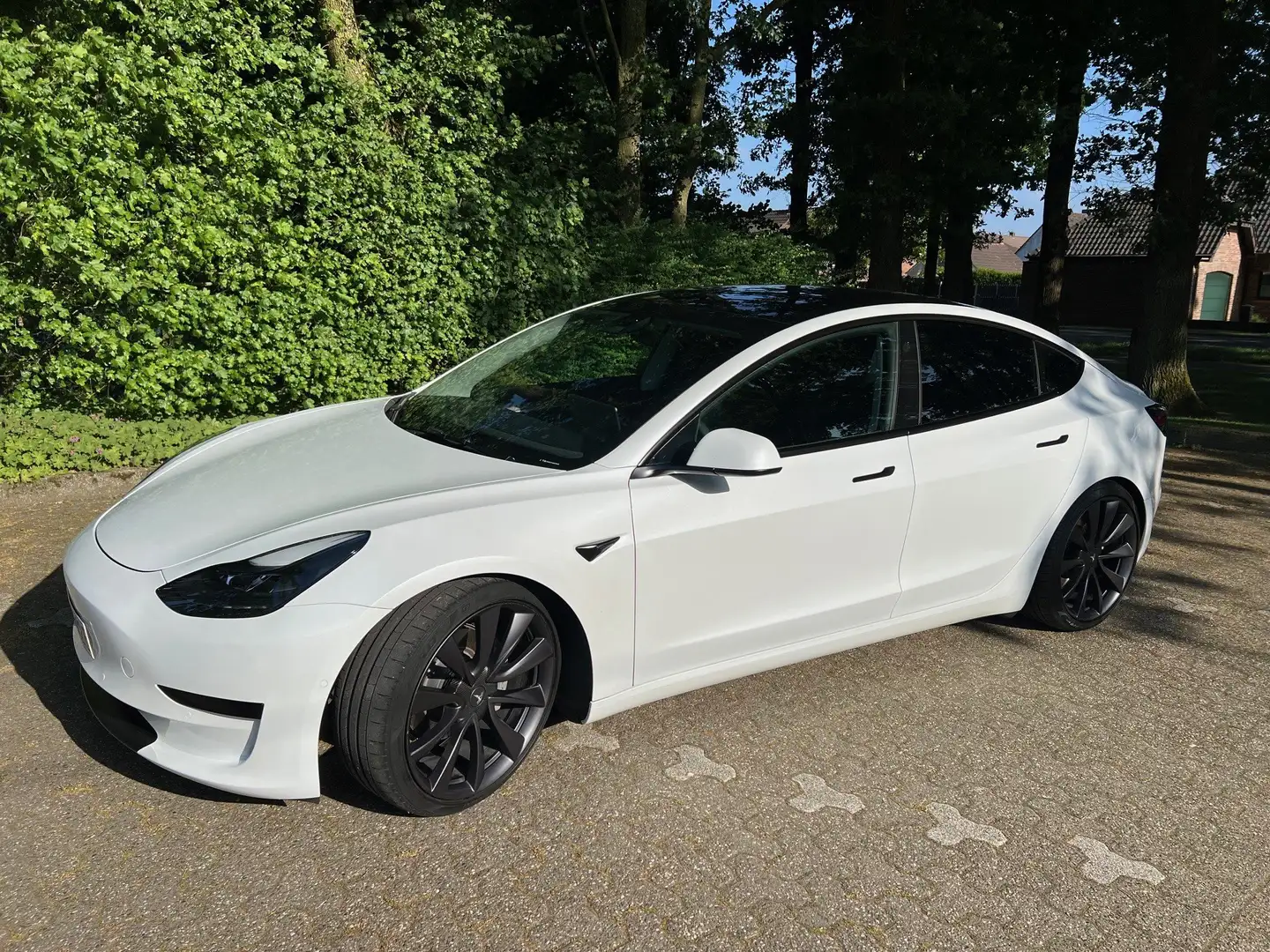Tesla Model 3 Model 3 Standard Reichweite Plus Hinterradantrieb Weiß - 1