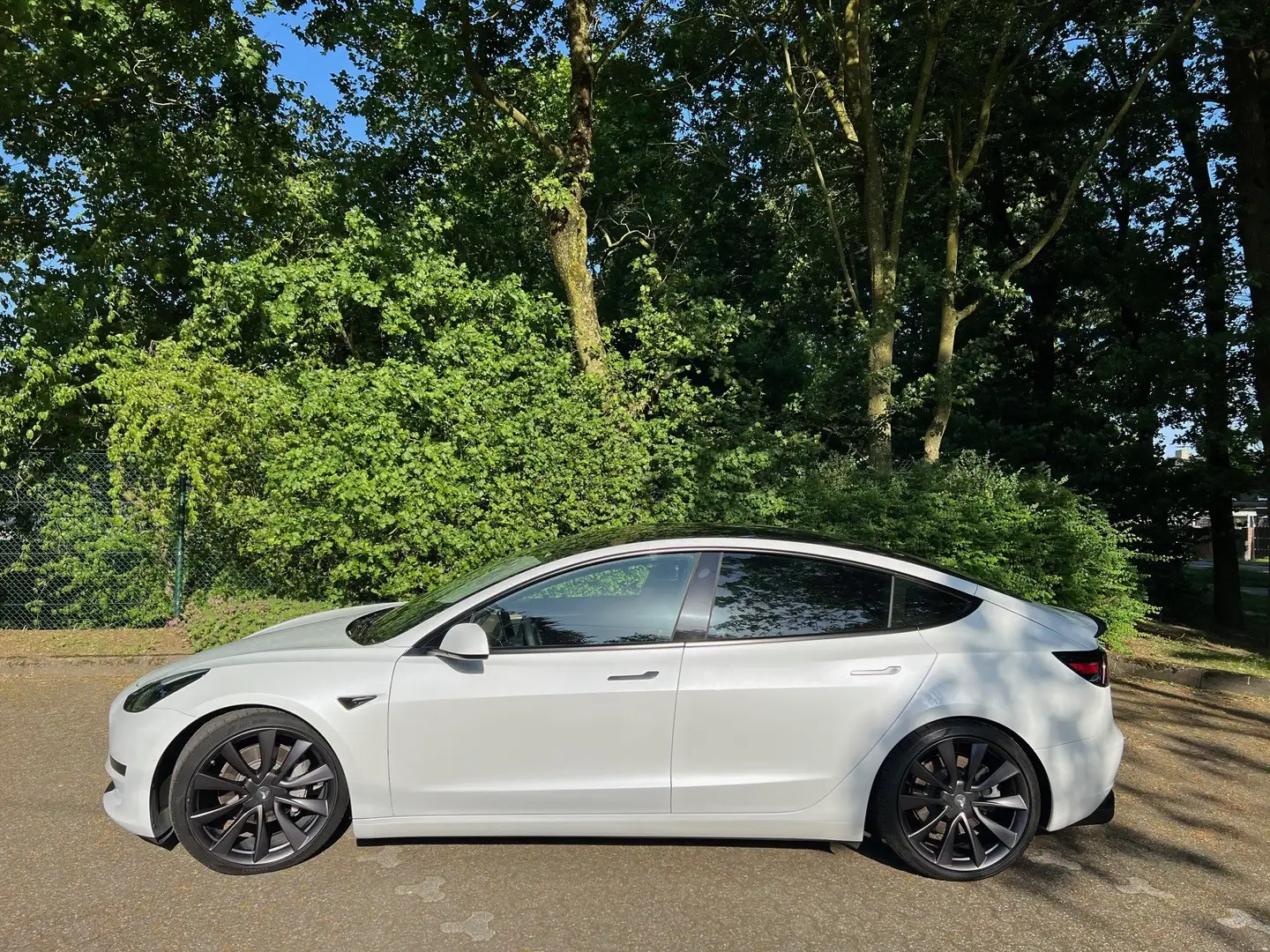 Tesla Model 3 Model 3 Standard Reichweite Plus Hinterradantrieb Weiß - 2
