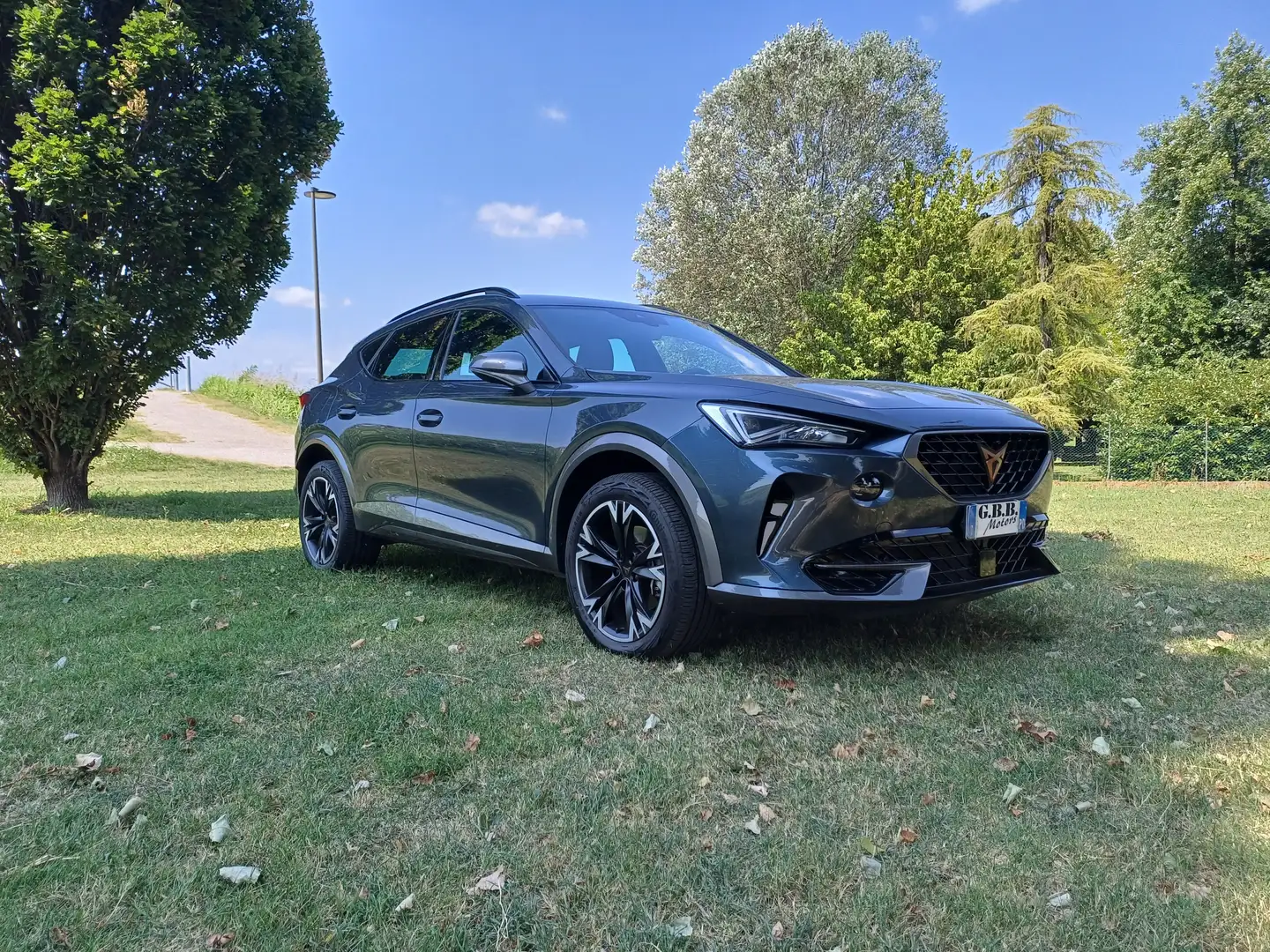 CUPRA Formentor Formentor 2020 2.0 tdi 4drive 150cv dsg Gris - 2