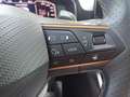 CUPRA Formentor Formentor 2020 2.0 tdi 4drive 150cv dsg Gris - thumbnail 13