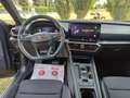 CUPRA Formentor Formentor 2020 2.0 tdi 4drive 150cv dsg Gris - thumbnail 9