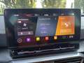 CUPRA Formentor Formentor 2020 2.0 tdi 4drive 150cv dsg Gris - thumbnail 11