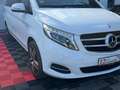 Mercedes-Benz V 220 V250 CDI/BT/d AVANTG./4-MATIC/360GRAD/LANG Weiß - thumbnail 7