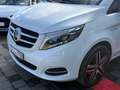 Mercedes-Benz V 220 V250 CDI/BT/d AVANTG./4-MATIC/360GRAD/LANG Weiß - thumbnail 8