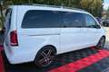 Mercedes-Benz V 220 V250 CDI/BT/d AVANTG./4-MATIC/360GRAD/LANG Weiß - thumbnail 15