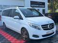Mercedes-Benz V 220 V250 CDI/BT/d AVANTG./4-MATIC/360GRAD/LANG Weiß - thumbnail 5