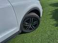 Audi Q3 2.0 tdi Business quattro 150cv s-tronic Bianco - thumbnail 6