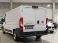 Fiat Ducato Ducato 35 2.2 Mjt 140CV PM-TM Furgone* L2 H1* Bianco - thumbnail 7