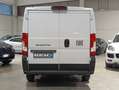 Fiat Ducato Ducato 35 2.2 Mjt 140CV PM-TM Furgone* L2 H1* Bianco - thumbnail 6