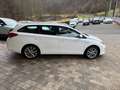 Toyota Auris Touring Sports Hybrid Executive 67650Km Blanc - thumbnail 5