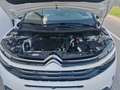 Citroen C5 Aircross C5 Aircross BlueHDI 130 S Weiß - thumbnail 8