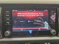 Skoda Kodiaq 2,0 TDI SCR 4x4 Style Limited DSG Grau - thumbnail 42