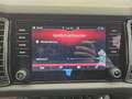 Skoda Kodiaq 2,0 TDI SCR 4x4 Style Limited DSG Grau - thumbnail 44