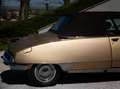 Citroen DS 21 CABRIOLET IVANOFF Bronze - thumbnail 5