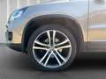 Volkswagen Tiguan Sport & Style**4Motion**DSG**Leder*Pano* Beige - thumbnail 9