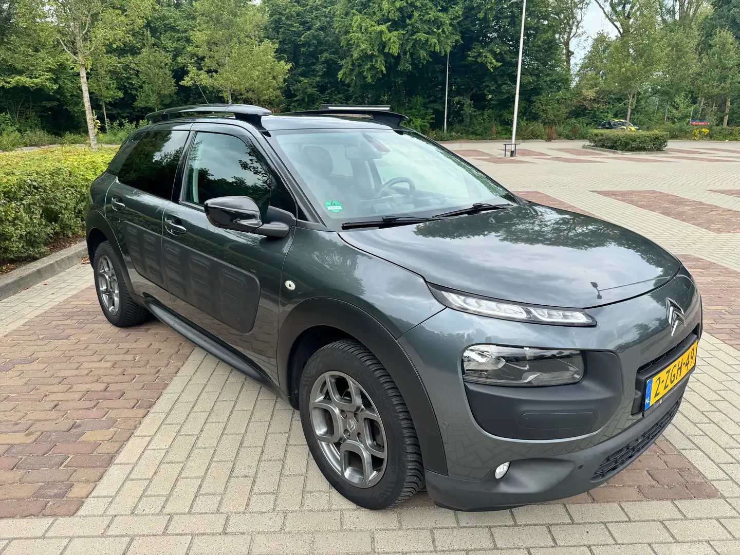 Citroen C4 Cactus C4 Cactus 1.6 BlueHDi Business Grijs - 1
