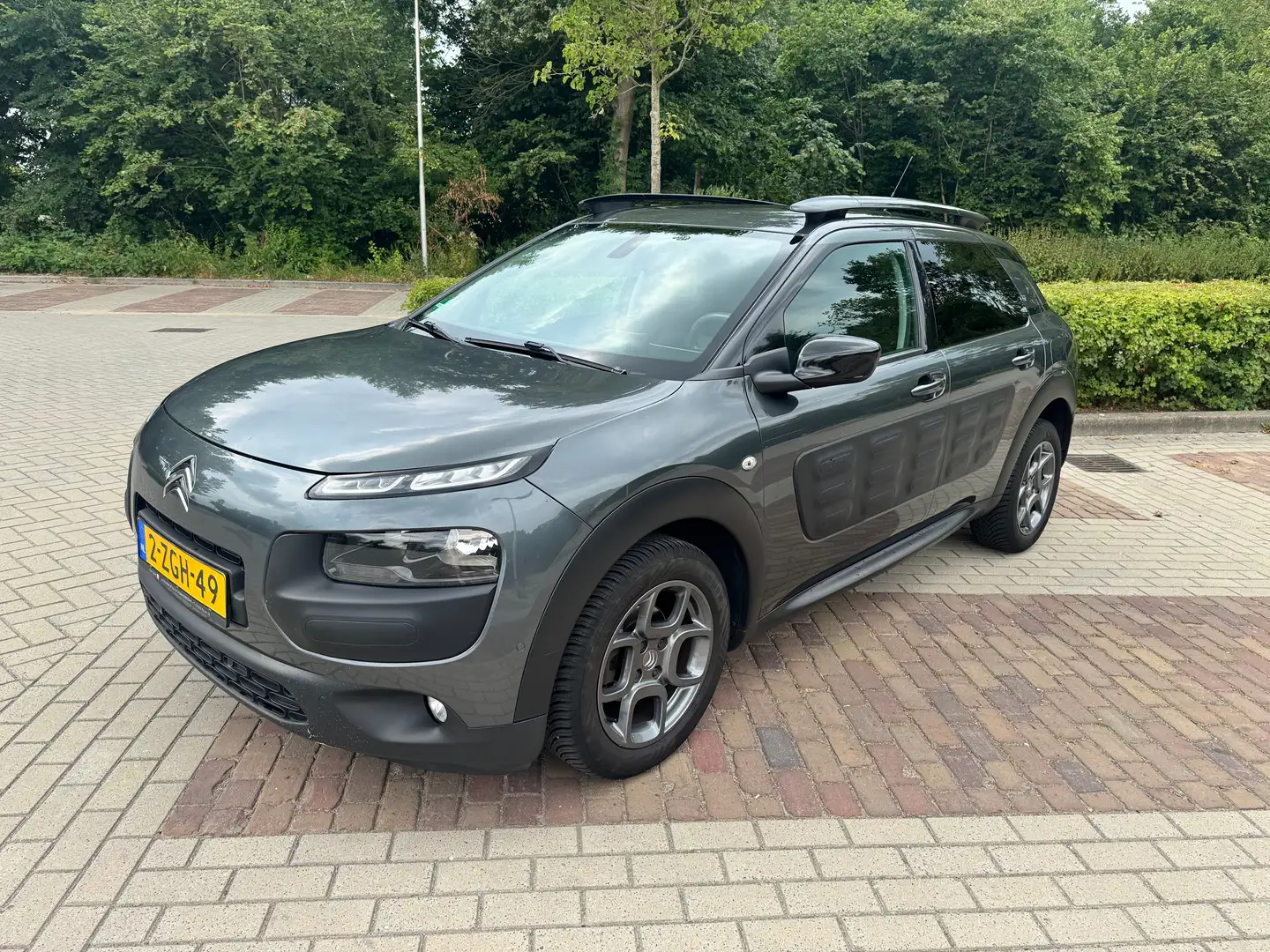 Citroen C4 Cactus C4 Cactus 1.6 BlueHDi Business Grijs - 2