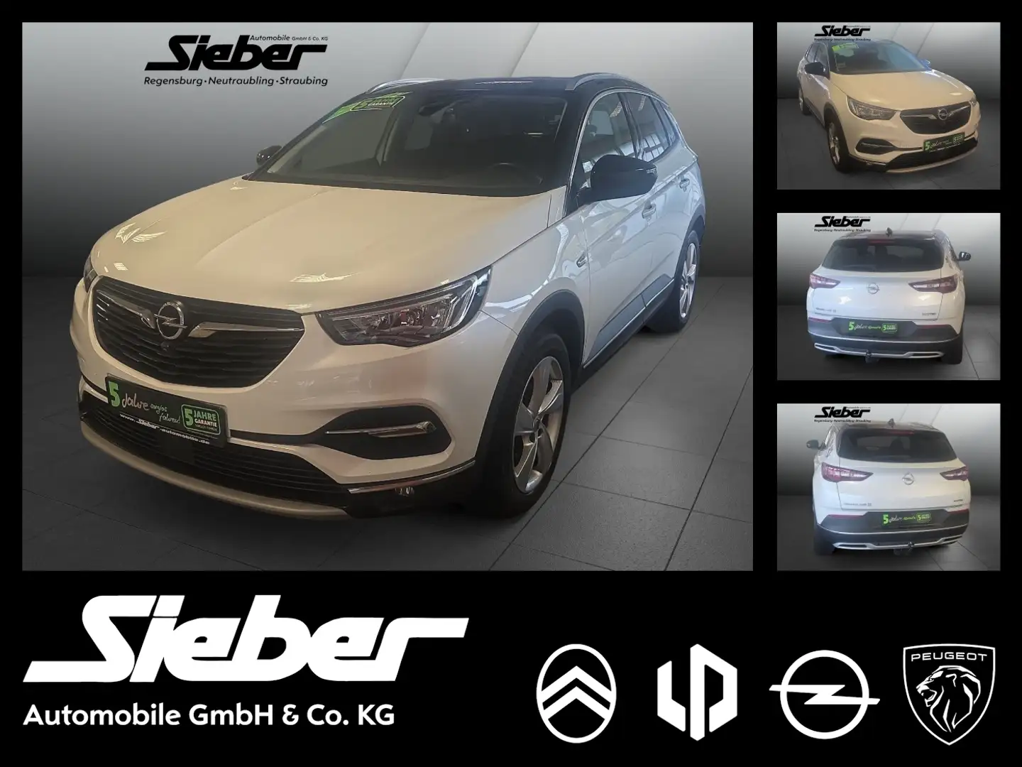 Opel Grandland 1.2 Turbo INNOVATION *360Grad Kamera* Weiß - 1