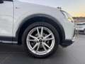 Audi Q2 30 1.6 tdi Business Design s-tronic Bianco - thumbnail 7