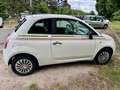 Fiat 500 500 1.3 Multijet 75 ch DPF Pop Blanc - thumbnail 7