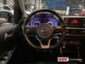 Kia Picanto X-Line Klima PDC Ganzjahresreifen Freisprecheinric Argent - thumbnail 11