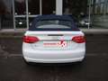 Audi A3 A3 Cabrio 1.6 tdi Attraction Bianco - thumbnail 7