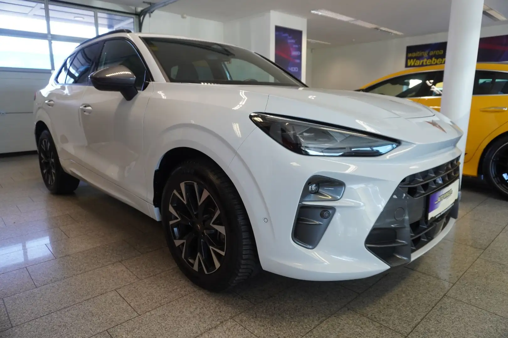 CUPRA Terramar eTSI Sport/Headup/Virtual/LED/Navi Weiß - 2