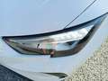 SEAT Ibiza Reference TSI 95PS Weiß - thumbnail 9