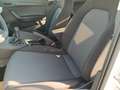 SEAT Ibiza Reference TSI 95PS Weiß - thumbnail 16