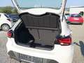 SEAT Ibiza Reference TSI 95PS Weiß - thumbnail 18