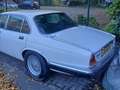 Jaguar Sovereign Weiß - thumbnail 3